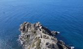 Excursión Senderismo La Seyne-sur-Mer - Cap Sicié et Notre Dame du mai - Photo 12