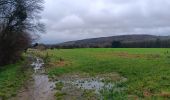 Tour Wandern Neupré - quintyfyon j+5 rando 1 Neupré  - Photo 5