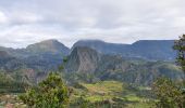 Excursión Senderismo Salazie - Heel-Bourg - Gîte de Bélouve - Photo 3