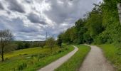 Randonnée Marche Coubron - Coteaux de l'Aulnoye - Photo 4