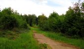 Randonnée Marche Coyolles - en forêt de Retz_78_les rayons du Rond Capitaine - Photo 14