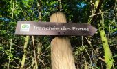 Tour Wandern Étalle - Chantemelle la tranchée des portes - Photo 5