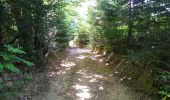 Trail Walking Sentheim - Buchberg - Rocher du Poilu  - Photo 2