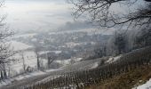 Tocht Te voet Stettfurt - Schloss Sonnenberg - Lommis - Thürn - Photo 1