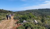 Randonnée Marche Peyriac-de-Mer - Pla du Couloubret dans les Corbières  - Photo 2
