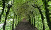 Randonnée Marche Theux - La charmille du Haut-Marais à Theux - Photo 1