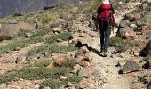 Excursión A pie La Orotava - Parador de Teide Alto Guajara caldeira de Teide  - Photo 11