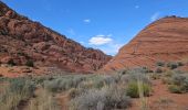 Tour Wandern Unknown - 2024 Vermillon Cliffs Edmaiers trail - Photo 8