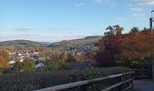 Tour Wandern Stoumont - Le Roannay, le mont des Brumes, la fagne - Photo 11