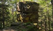 Tour Wandern Barr - Randonnée au tour bloss sud du St.odille  - Photo 5