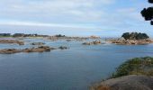 Tocht Stappen Perros-Guirec - sentier douaniers - Photo 11