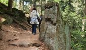 Tour Wandern Ottrott - RDPR Mont St Odile 250527 apm - Photo 2