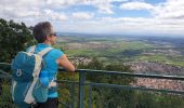 Tour Wandern Kestenholz - Le Hahnenberg et les balcons de Sélestat - Photo 18