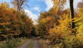 Tocht Stappen Érezée - rando amonines 26/10/2020 - Photo 4