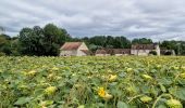 Tour Zu Fuß Moret-Loing-et-Orvanne - La basse vallée du Lunain version 30 km - Photo 7