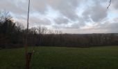 Randonnée Marche Serre-les-Sapins - serre les sapins la ménère - Photo 3