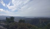 Excursión Marcha nórdica Tolón - château vallon  - Photo 6