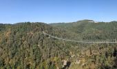 Trail Walking Saint-Maurice-de-Lignon - boucle passerelle du lignon-11 km - Photo 5