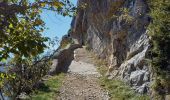 Trail Walking Chamaloc - Le But de Nève - Photo 19