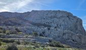 Trail Walking Plan-d'Aups-Sainte-Baume - Plan d'Aups-Sainte Baume - Photo 18