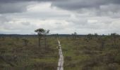 Trail On foot Unknown - Naturum-Andersberg - Photo 4