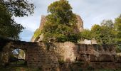 Percorso Marcia Grendelbruch - Grendelbruch - château de Guirbaden - châtaignes - Photo 17