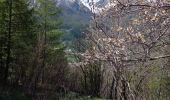 Trail Walking Le Monêtier-les-Bains - Boucle des Conchiers - Photo 5