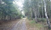 Trail Walking Theux - gervova . chemin du ninglinspo . chifgotte . charmille . gervova - Photo 9