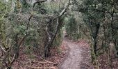 Trail  Marsanne - Marsanne sanctuaire de Fresneau - Photo 4