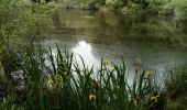 Tour Wandern Poigny-la-Forêt - Poigny la forêt - Photo 2