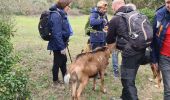 Tocht Stappen Flassans-sur-Issole - Flassans sur issole - lac de redon - Photo 12