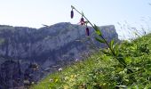 Tocht Stappen Saint-Pierre-de-Chartreuse - Peitt-Som-2022-06-19 - Photo 4