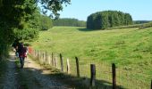 Tour Zu Fuß Libin - WandArdNat 34 :Lesse een groen wandelsprookje tussen Lesse en Our - Photo 8