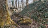 Trail Walking Hamoir - trek GR57 jour 4 : Hamoir - Bomal-sur-Ourthe - Photo 15