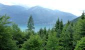 Tour Zu Fuß St. Wolfgang im Salzkammergut - Auerriesenweg - Photo 7