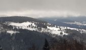 Tocht Stappen La Bresse - la bresse - le moutier des fées  - Photo 8