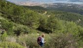 Excursión Senderismo Ollioules - 2021 10 20 les gorges de la Destel - Photo 3