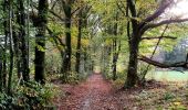 Trail Walking Libramont-Chevigny - Entre Vierre et Ourthe - Photo 2