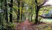 Trail Walking Libramont-Chevigny - Entre Vierre et Ourthe - Photo 2