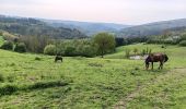 Randonnée Marche Stoumont - stoumont :  aller via corniche , retour via amblève - Photo 1