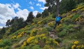 Tour Wandern Unknown - La de Riu-2024-06-21 - Photo 2