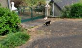 Tocht Stappen Livron - tour au bois avec 3 chats 10042021 - Photo 2