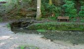 Tour Zu Fuß Gomadingen - Geislingen - Schertelshöhle - Photo 2