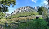 Trail Walking Saou - asptt le grand pomerole - Photo 7