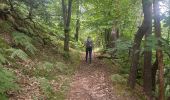 Trail Walking Colombier-le-Vieux - Colombier le Vieux Daronne Azur - Photo 14