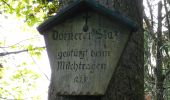 Tocht Te voet Brannenburg - BR7 - Brannenburg - Photo 1