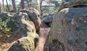 Tocht Stappen Fontainebleau - Sentier Denecourt 3 - Photo 13