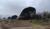 Trail Walking Canet-en-Roussillon - st cyprien, entre mer et étang  - Photo 2