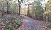 Trail Walking Aywaille - ninglinspo rando 21 - Photo 5