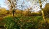 Randonnée A pied Winsen - Rundweg durch die Gemeinden Kisdorf und Winsen - Photo 9